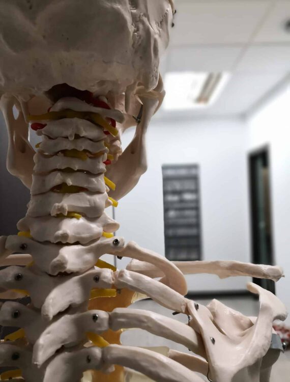 https://www.physiotherapie-hustig.de/wp-content/uploads/2023/11/physiotherapy-4099066_1920-570x750.jpg